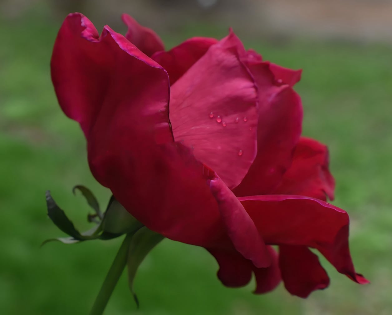 Mobirise Website Builder